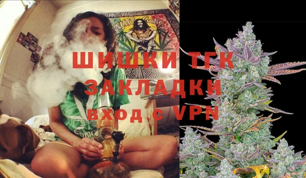 прущий лед Каменка