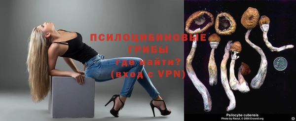 прущий лед Каменка