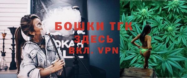 прущий лед Каменка