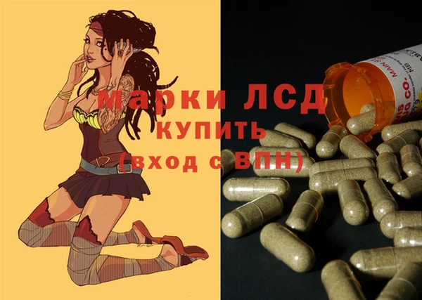 прущий лед Каменка