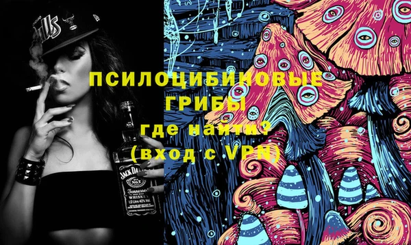 ешки Каменногорск