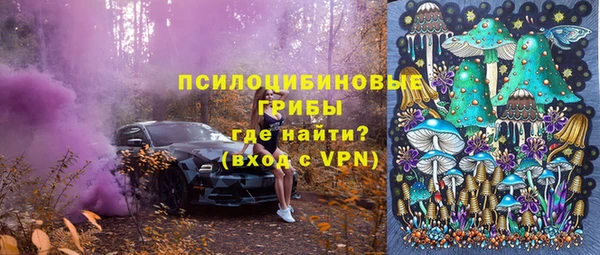ешки Каменногорск